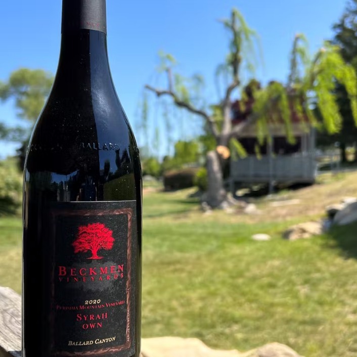 The Establishment is proud to be hosting a wine dinner with Beckmen Vineyards Wednesday, March 15th. The Event will include passed hors d'oeuvres followed by a 4-course dinner paired with incredible wines from this family-owned winery in the Santa Ynez Valley in California. ⁠
⁠
Executive Chef Elliott Howells has created an extraordinary menu to compliment these outstanding wines from one of California's premier viticultural regions. Oldest son and National Sales Director, Jeff Beckmen will be in attendance to discuss the paired wines between courses. We hope to see you there! ⁠
⁠
#chseats #chsdrinks #beckmenvineyards #tastingmenu #winedinner #wine #broadstreet #southofbroad